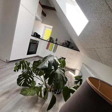 公寓 Dalgade Loft And Living