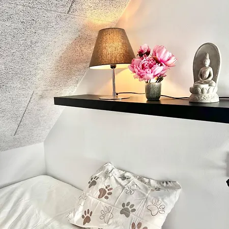 Apartment Dalgade Loft And Living