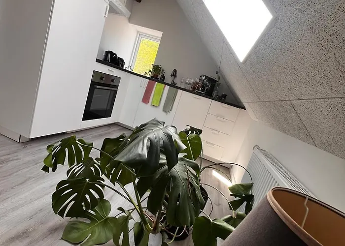 Apartment Dalgade Loft And Living