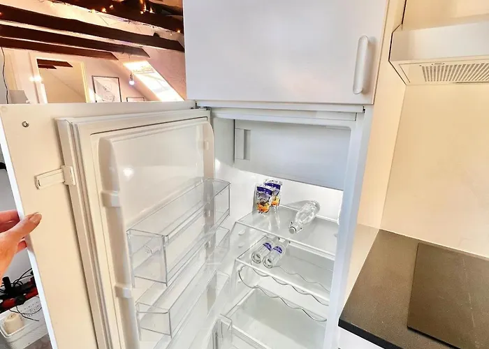 Dalgade Loft And Living Apartment Vejle