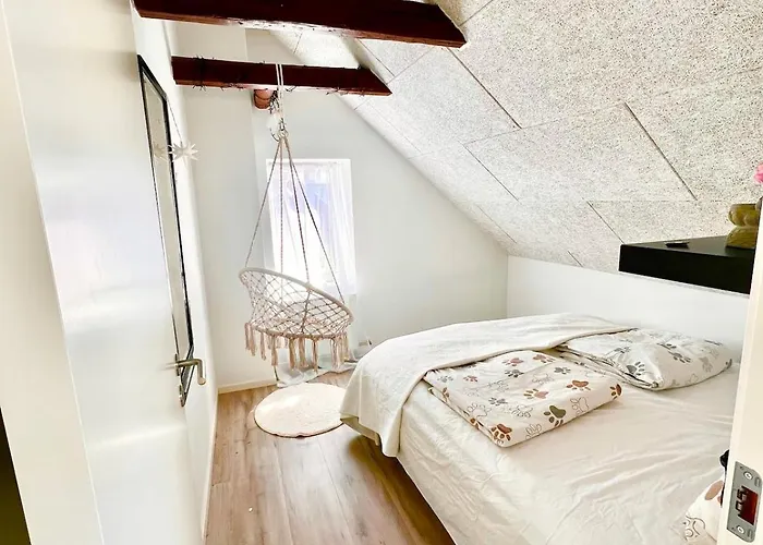 Apartment Dalgade Loft And Living