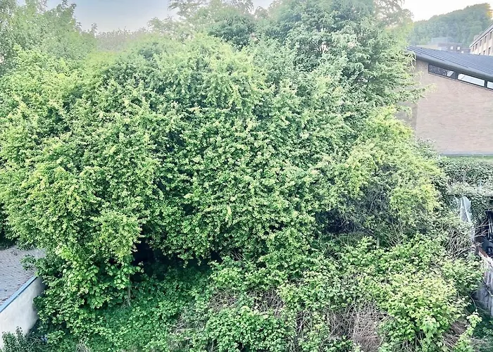 Apartment Dalgade Loft And Living *